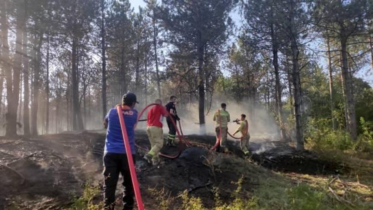 Edirne'de ormanda çıkan yangın büyümeden söndürüldü