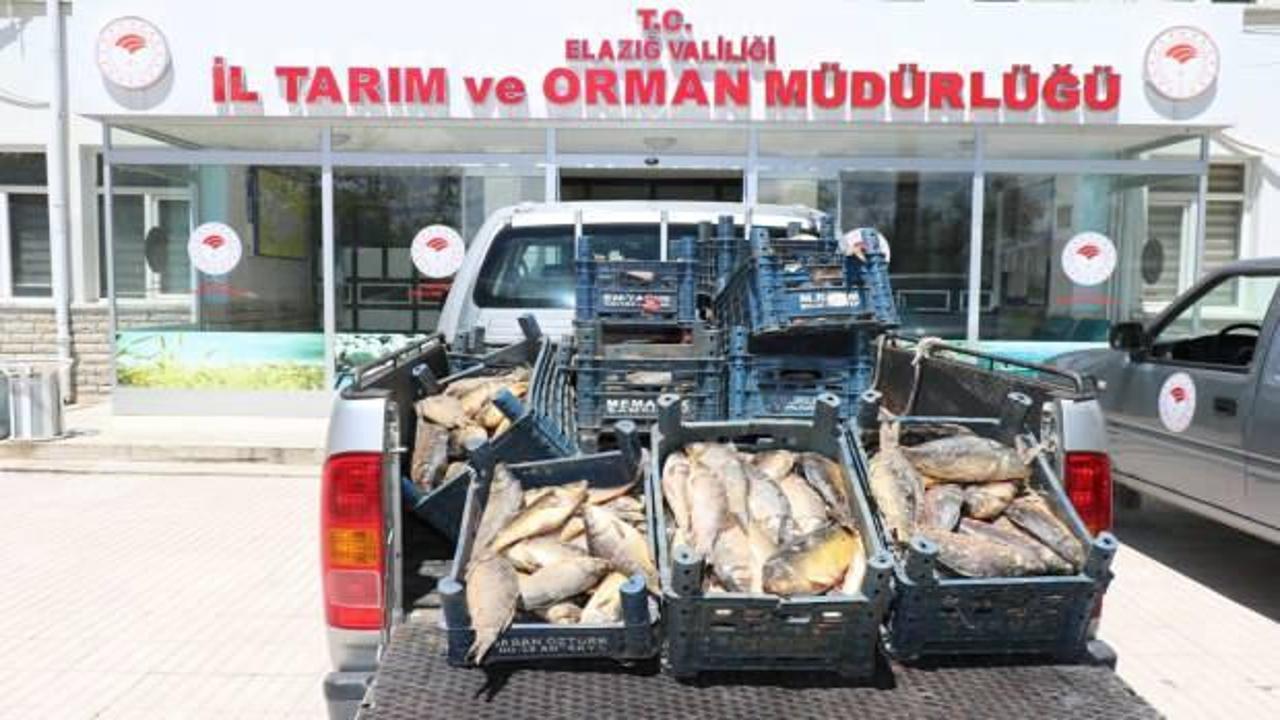 Elazığ&rsquo;da ka&ccedil;ak avlanmaya ge&ccedil;it yok: 84 kişiye 350 bin lira ceza uygulandı