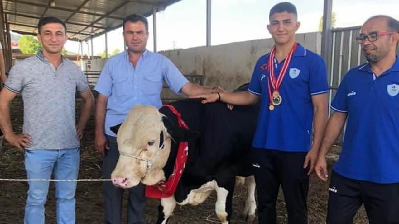 Eski muhtar s&ouml;z&uuml;n&uuml; tuttu, şampiyona dana hediye etti   