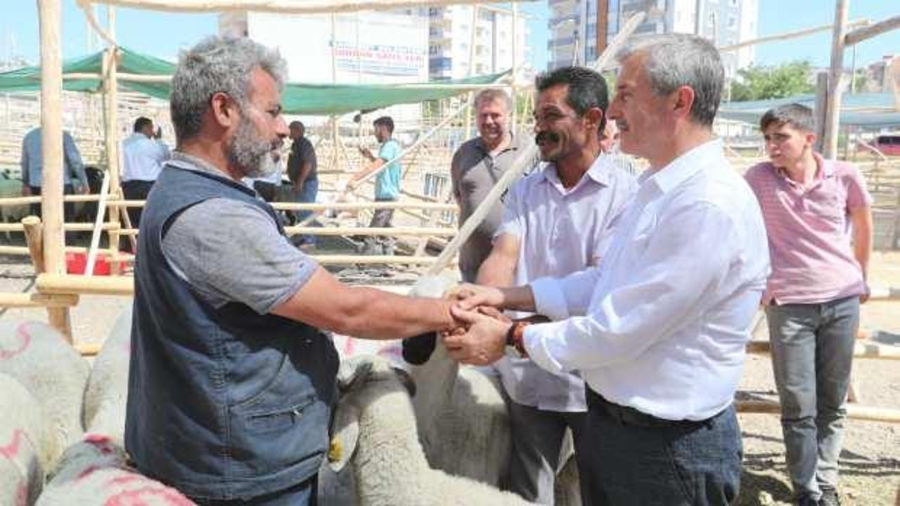 Şahinbey&rsquo;de kurban satış ve kesim yerleri belirlendi