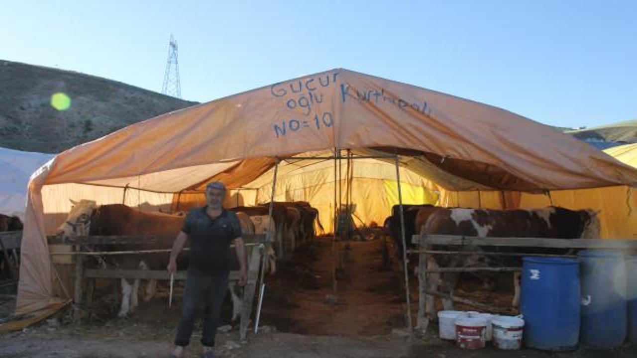 Sivas kurban pazarı besicilerden tepki topladı