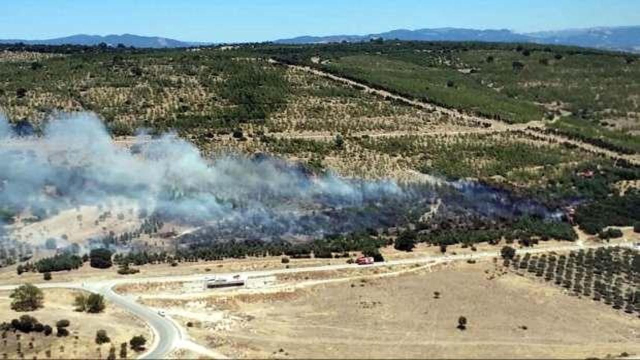 İzmir'de tarım arazisinde &ccedil;ıkan yangın, ağa&ccedil;landırma sahasına sı&ccedil;radı
