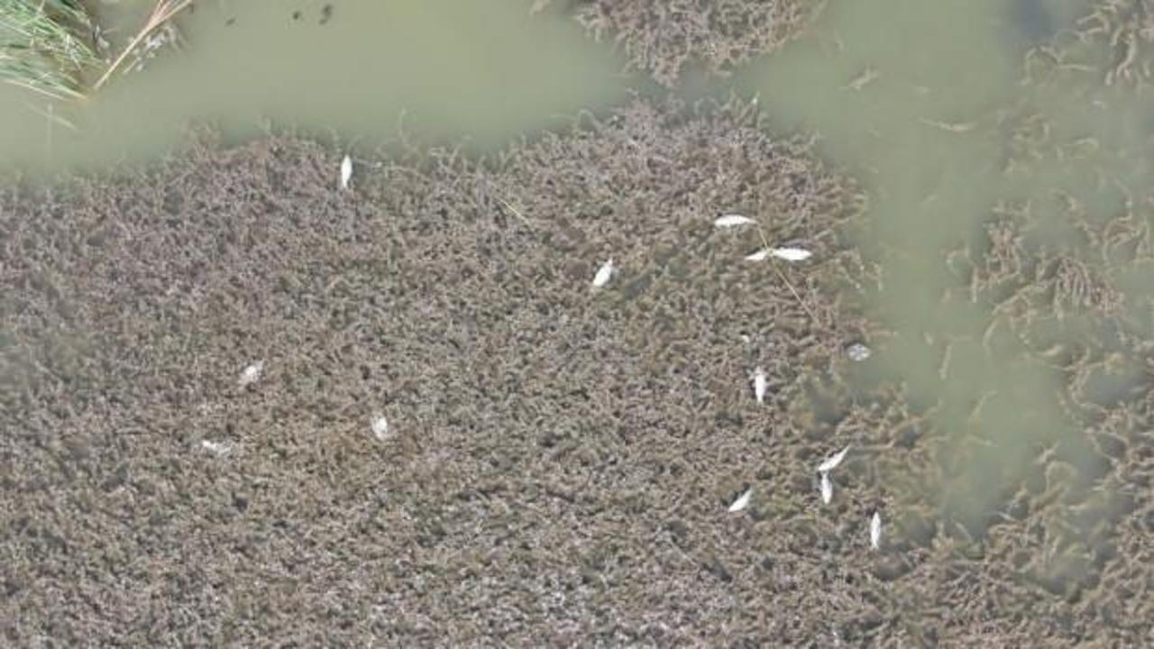 Sivas'ta korkutan g&ouml;r&uuml;nt&uuml;