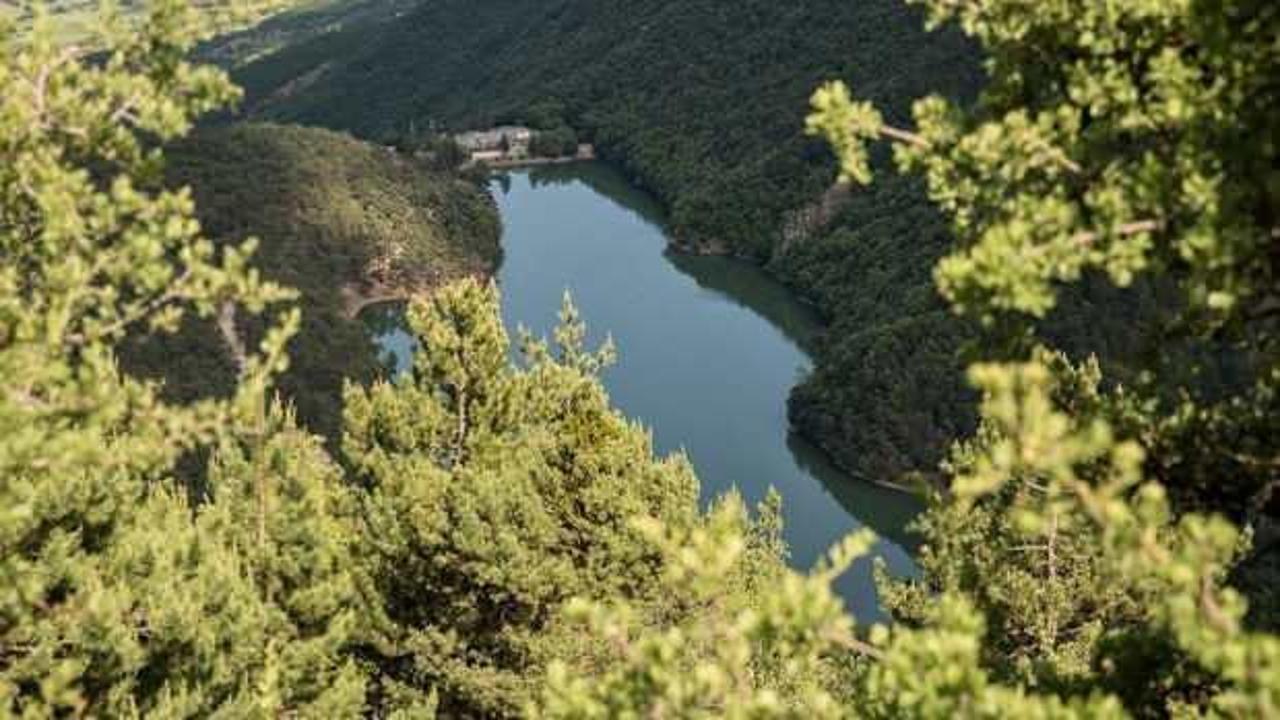 Amasya'da orman alanlarına girişler 31 Ekim'e kadar yasaklandı