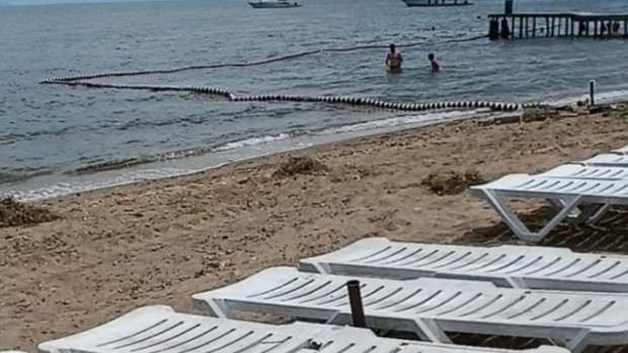 B&uuml;y&uuml;kada'da halk plajında 'striknin' tehlikesi: &Ouml;l&uuml;mle sonu&ccedil;lanabilir!