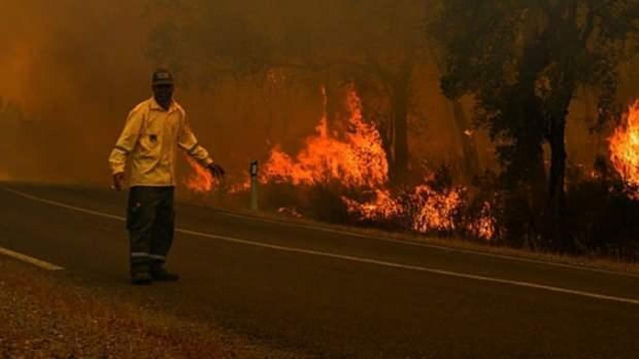 Fas'taki orman yangınlarında 6 bin 600 hektarlık alan kül oldu