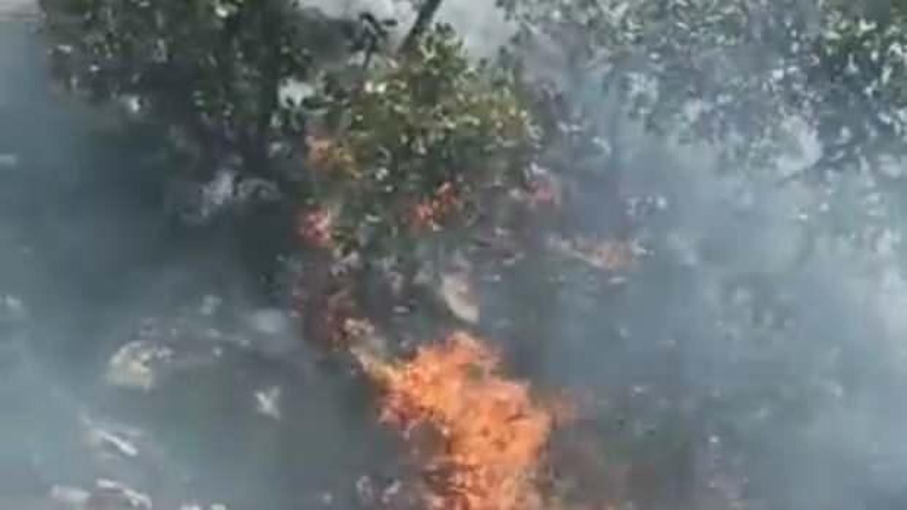 Nusaybin’de ormanlık alandaki yangın 6 saatte söndürüldü