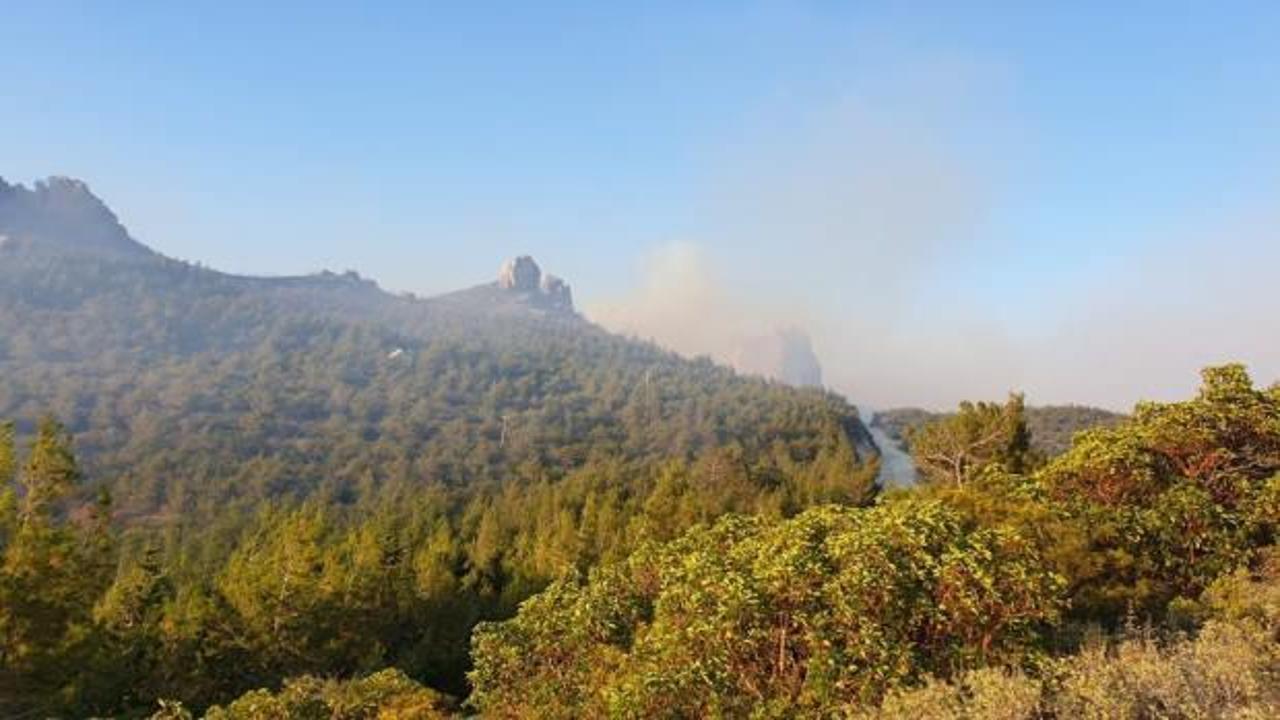 Beykoz'da orman yangını! Çok sayıda itfaiye sevk edildi