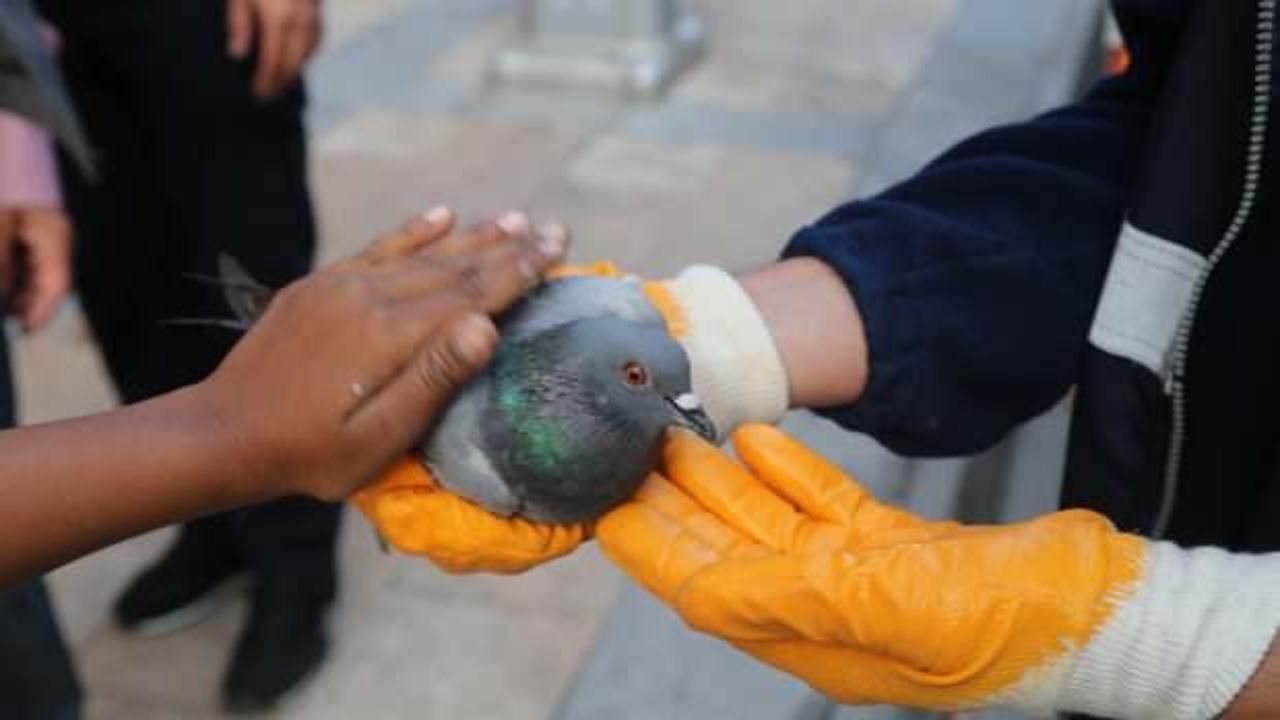 &Ccedil;atıda asılı kalan g&uuml;vercinin imdadına itfaiye yetişti
