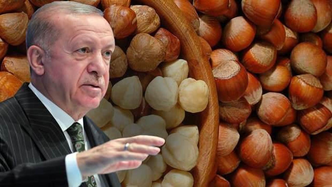 Erdoğan, 2022 fındık alım fiyatını açıkladı