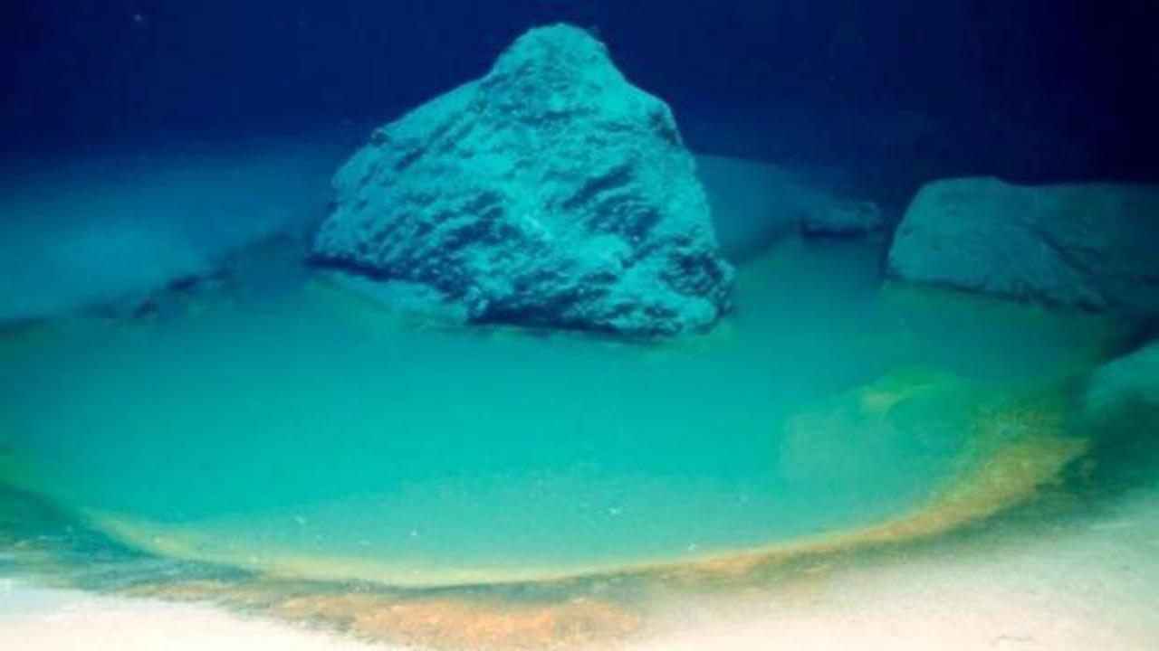 Kızıldeniz'de içinde yüzen tüm canlıları öldüren ölümcül bir havuz keşfedildi