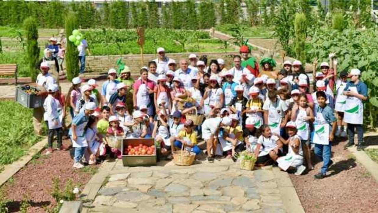 Yedikule Bah&ccedil;e&rsquo;de hasat şenliği