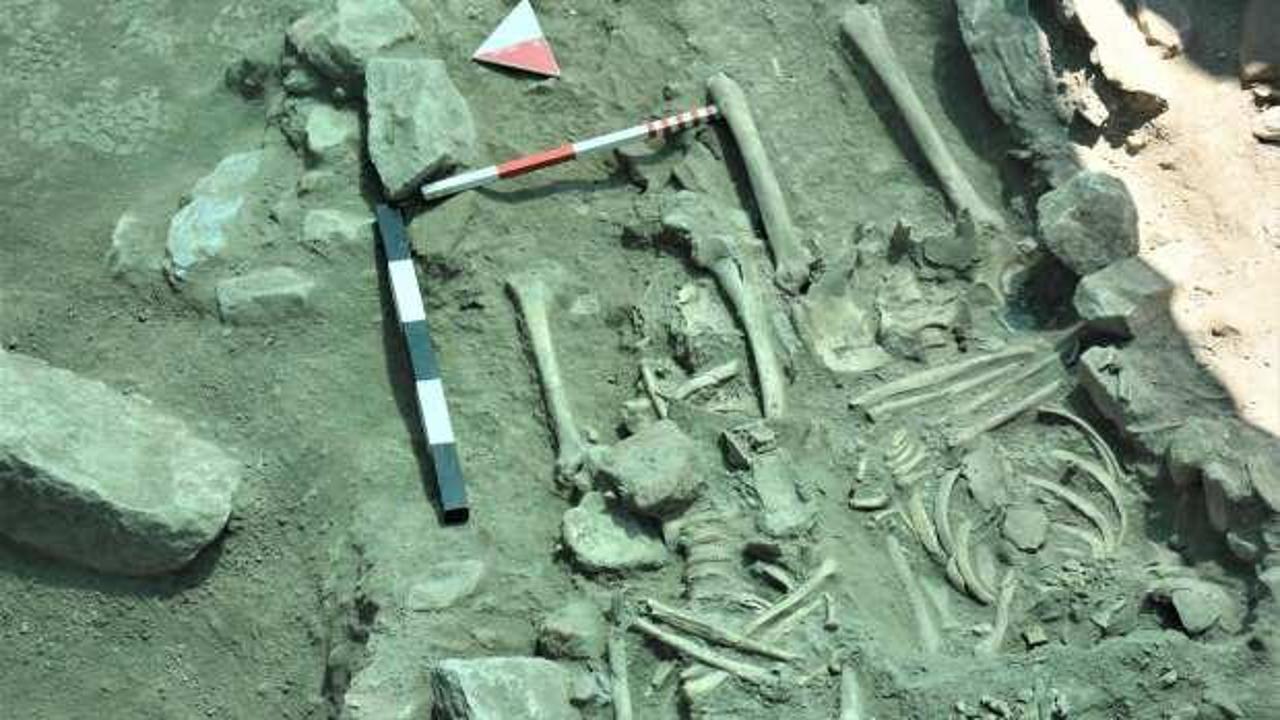 Ayasuluk kazılarında 6 insan iskeleti daha bulundu