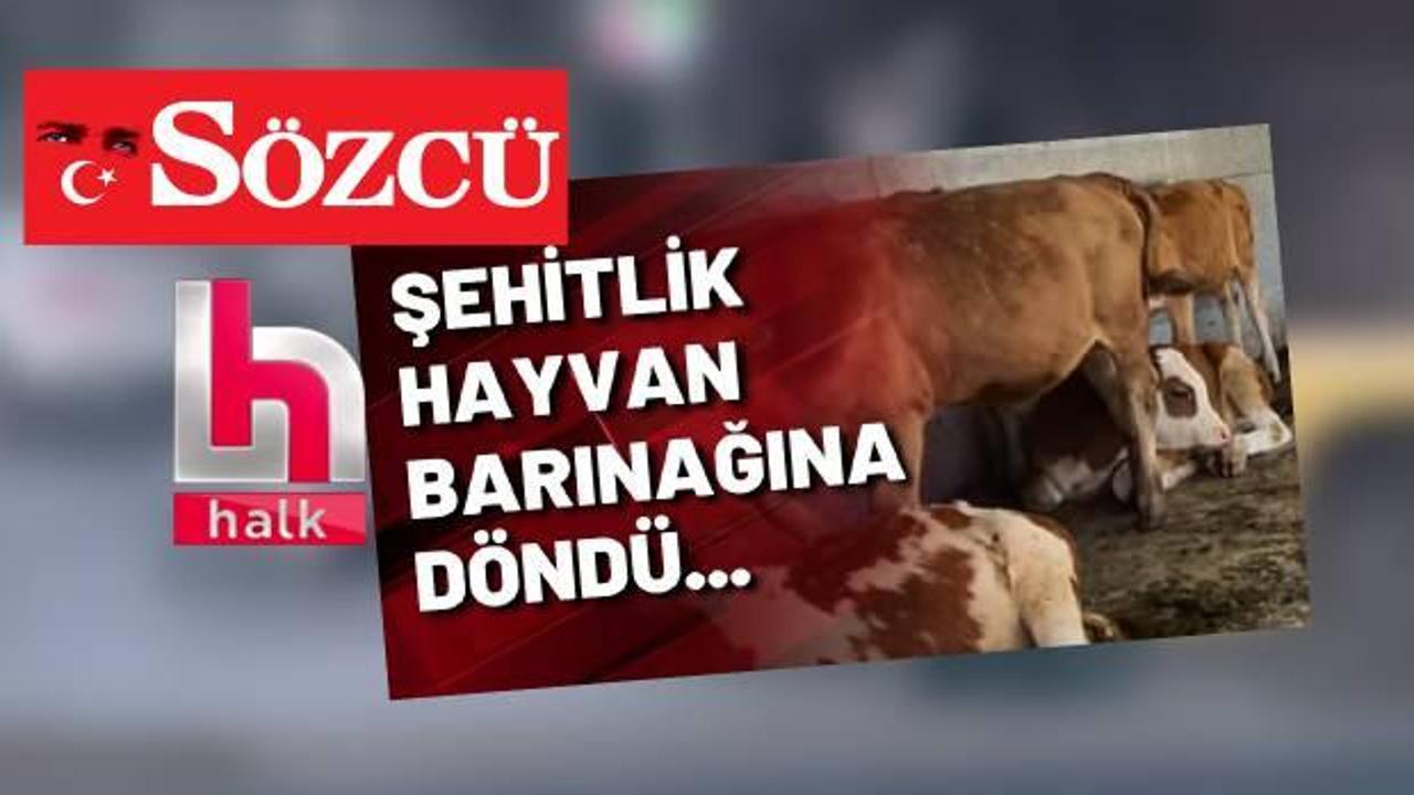 Bakanlıktan Sözcü ve Halk TV'nin “Sarıkamış Şehitliği'ni ahıra çevirdiler" haberine tepki