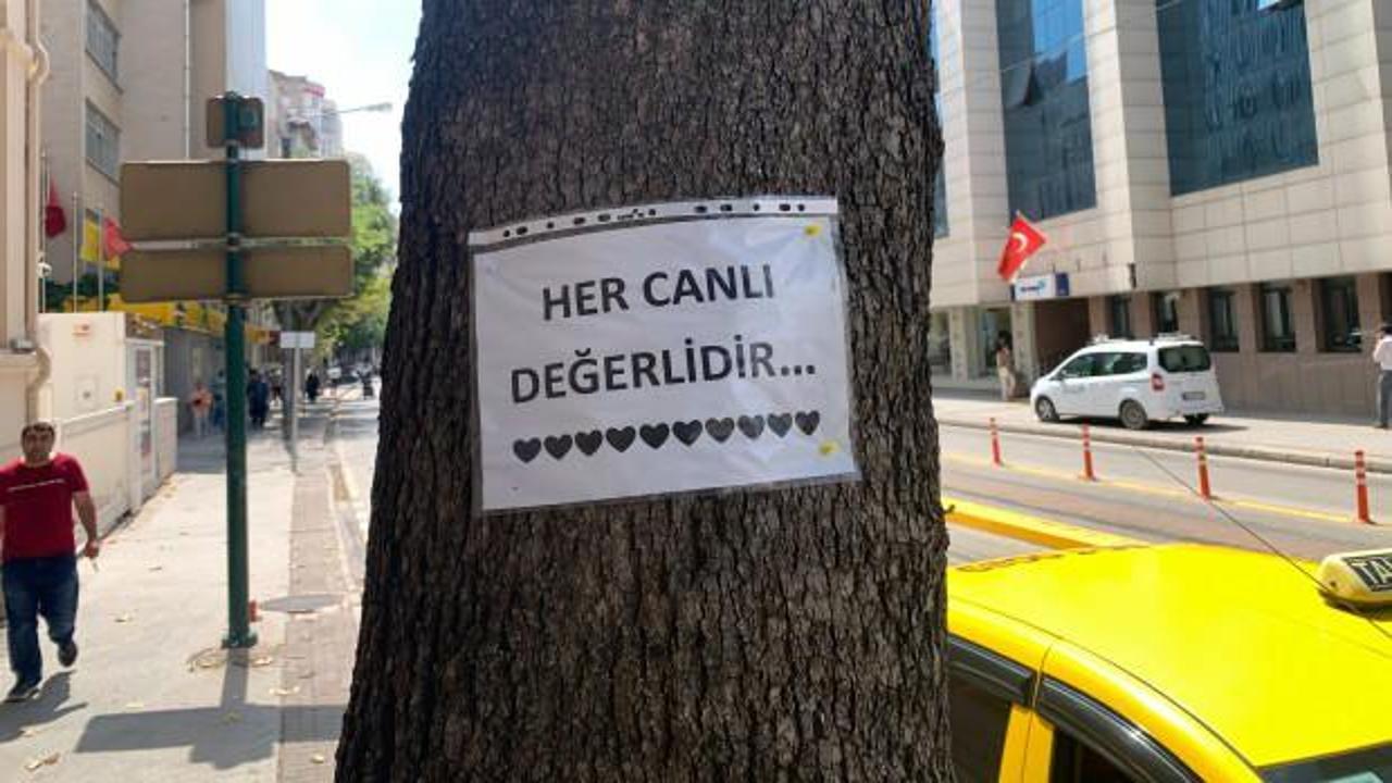 Eskişehirliler motivasyon kaynağını ağa&ccedil;lara yazılan notlarda buldu