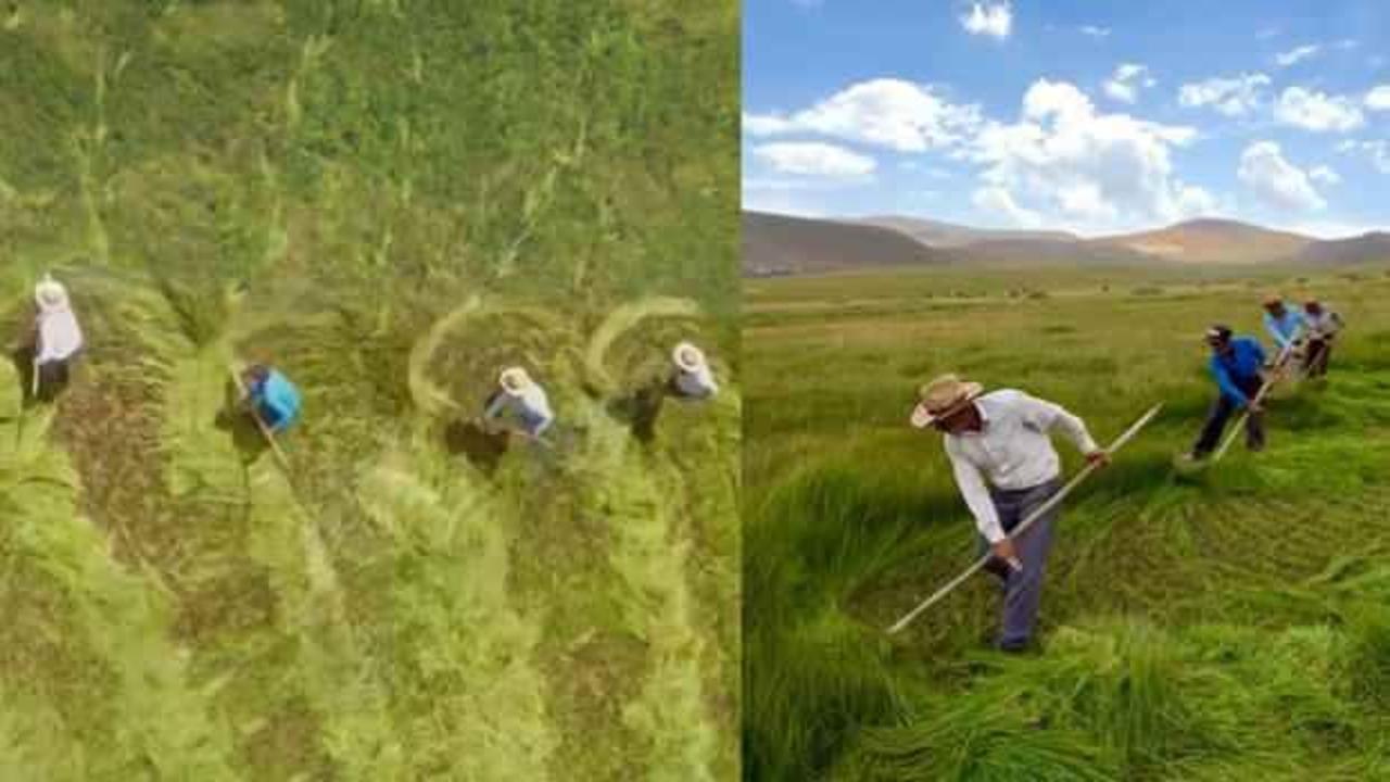 Iğdırlı fotoğraf sanat&ccedil;ısı &ccedil;ekti, milyonlar tarafından izlendi