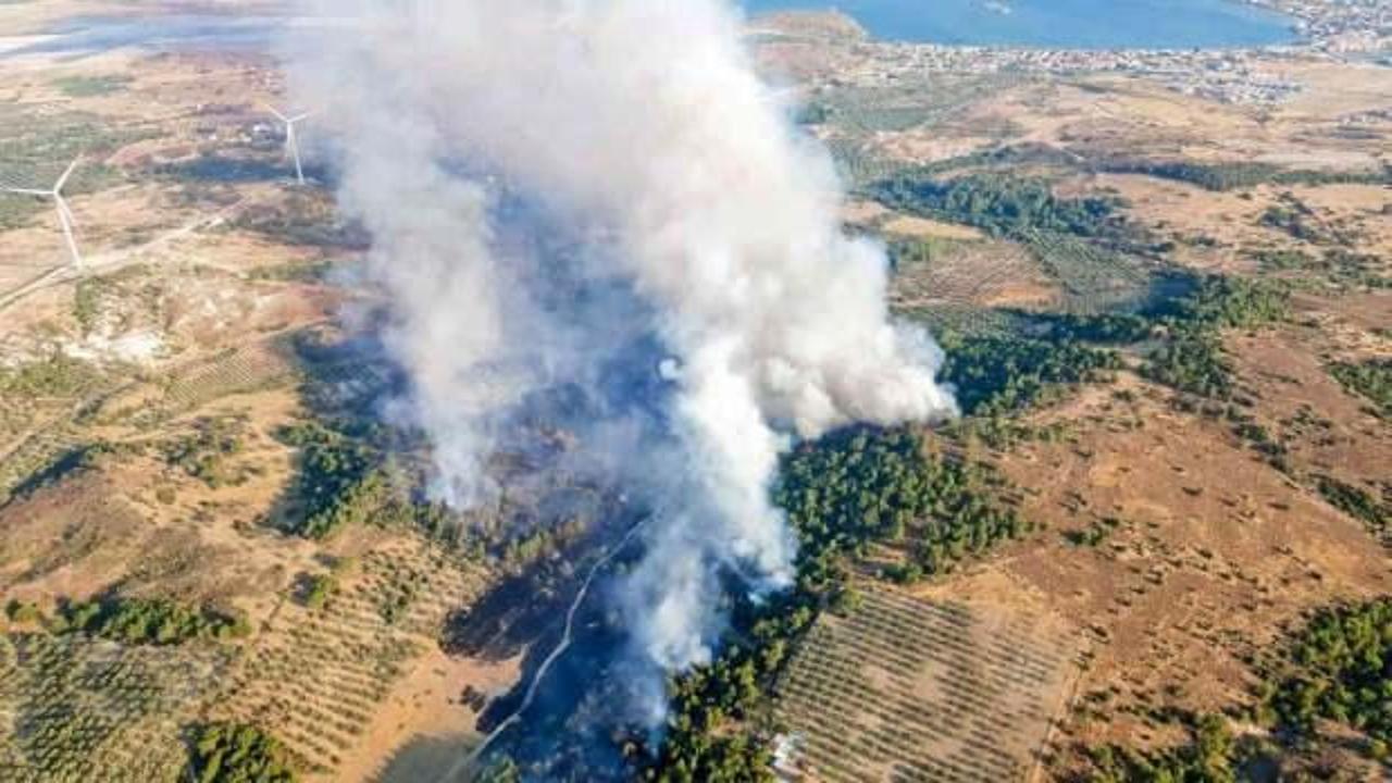 İzmir Dikili'deki orman yangını kontrol altına alındı