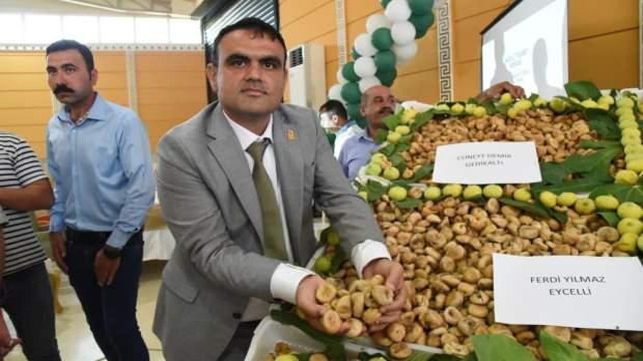 Nazilli’de sezonun ilk kuru inciri kilosu 400 TL’den satıldı