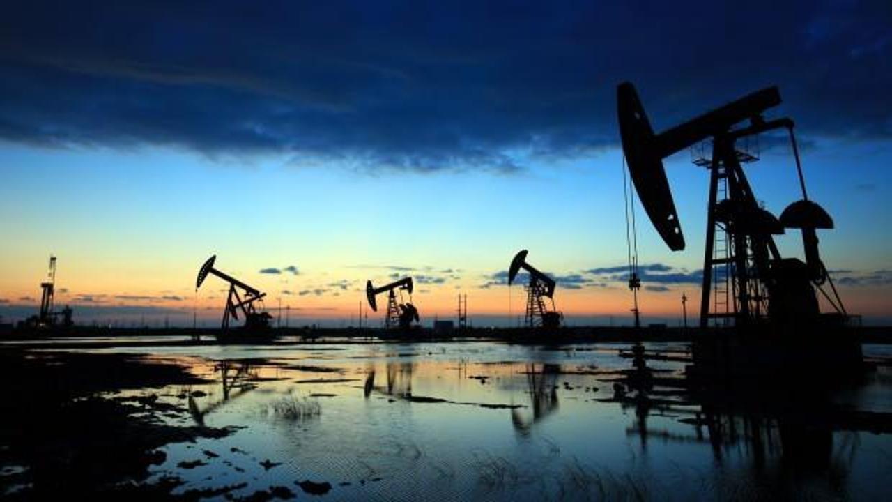 Petrol ve doğalgaz fışkırıyor! B&ouml;lgede harekete ge&ccedil;ildi