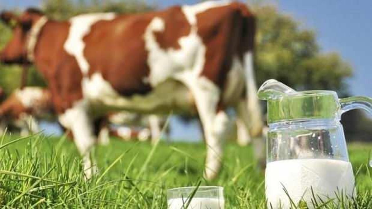 TZOB Genel Başkanı Bayraktar'dan süt uyarısı