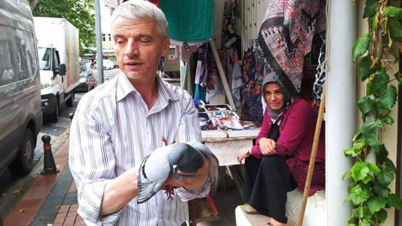 Yaralı g&uuml;vercine esnaf sahip &ccedil;ıktı