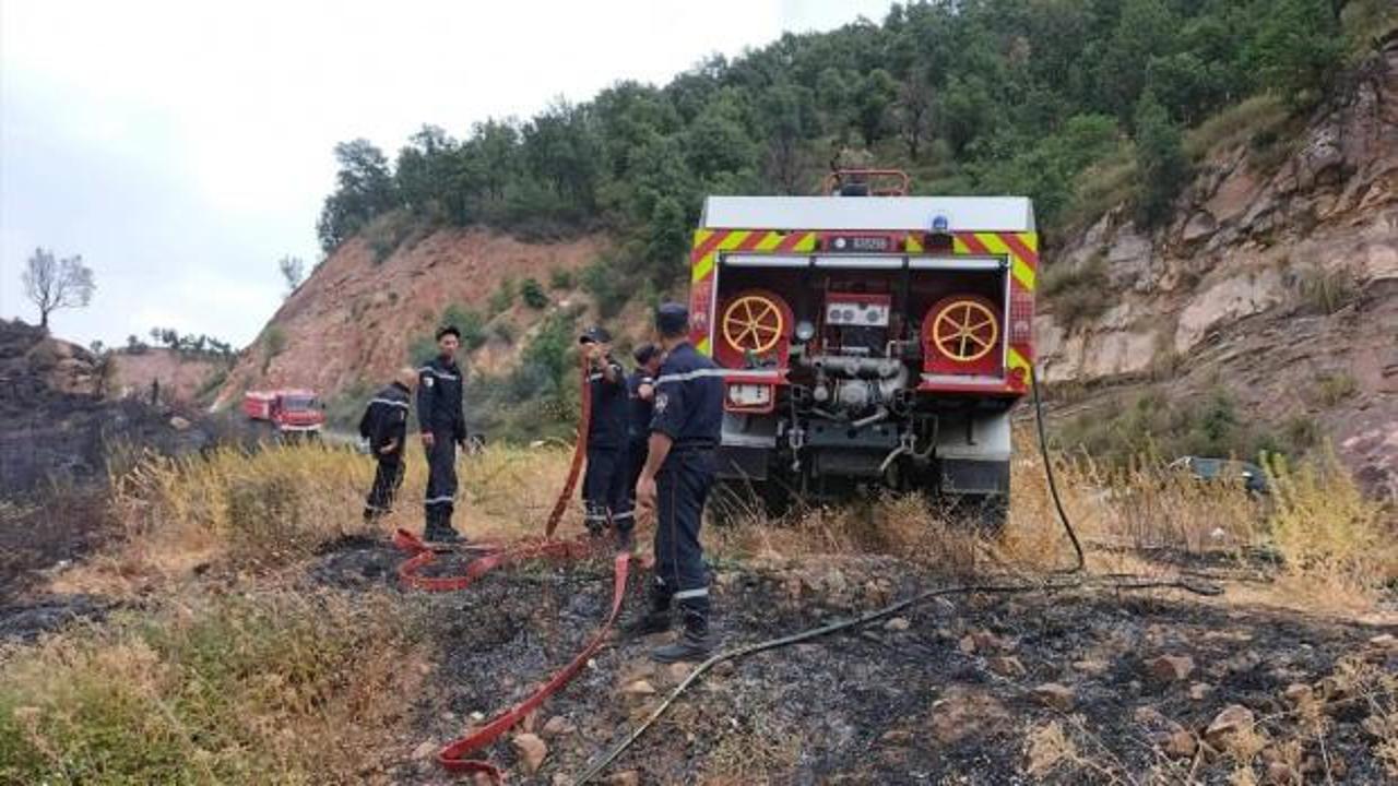 Cezayir'deki orman yangınlarında ölü sayısı 41'e yükseldi