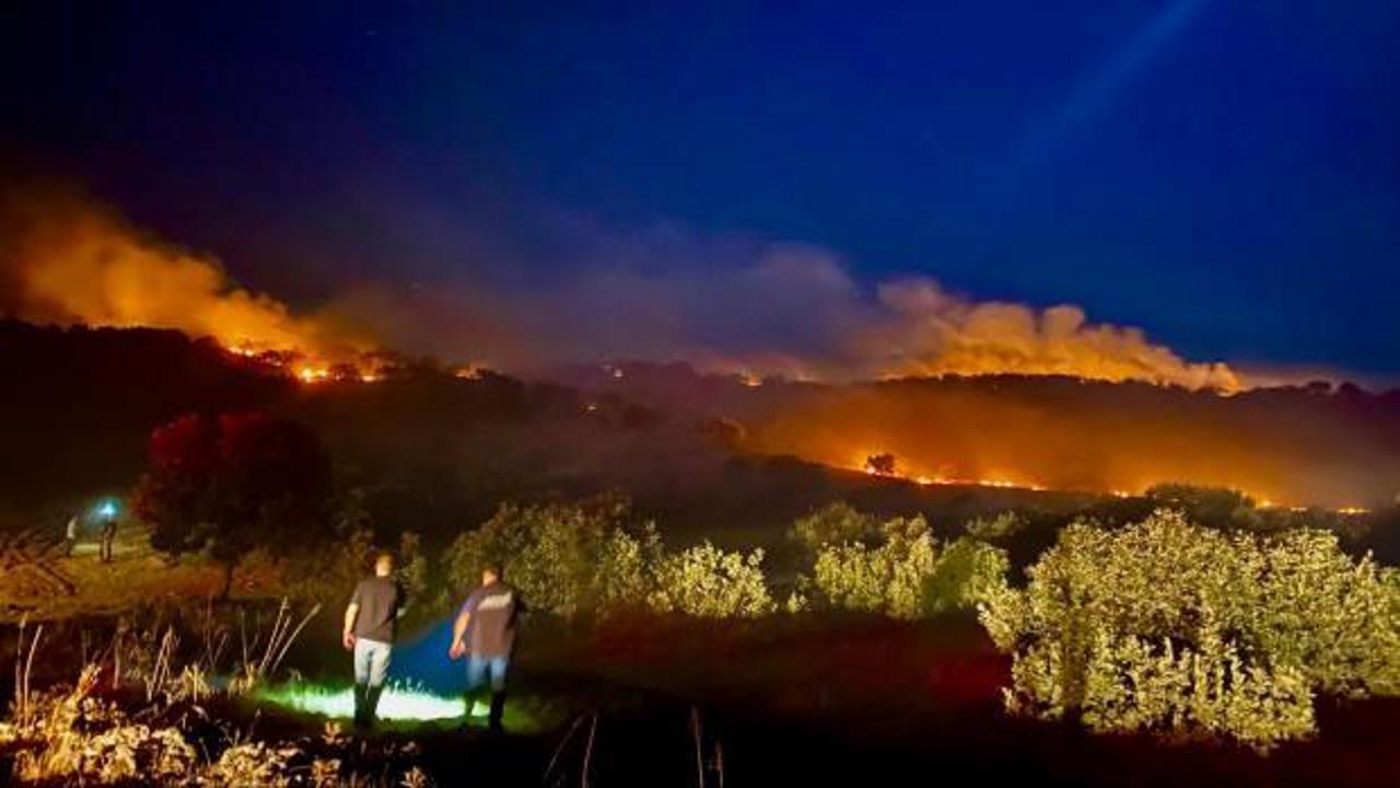 Diyarbakır'da 3 ayrı noktada orman yangını