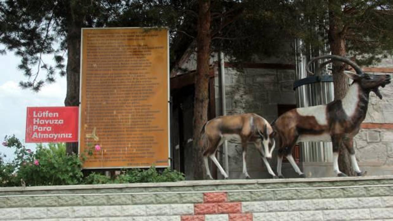 Erzincan&rsquo;da bu sudan i&ccedil;enin şifalı bulduğu s&ouml;yleniyor