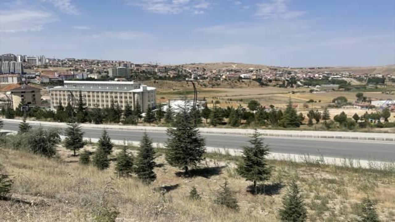 Nevşehir'de kurulacak SERA OSB'de yıllık 40 bin ton sebze yetiştirilecek
