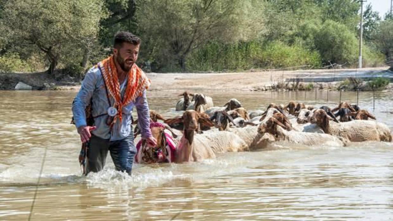 Denizli&rsquo;de d&uuml;zenlenen 8 asırlık geleneğe şap engeli 