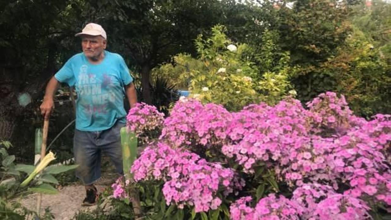 &Uuml;zeyir amca bitkileriyle her g&uuml;n yaklaşık 10 saat ilgileniyor