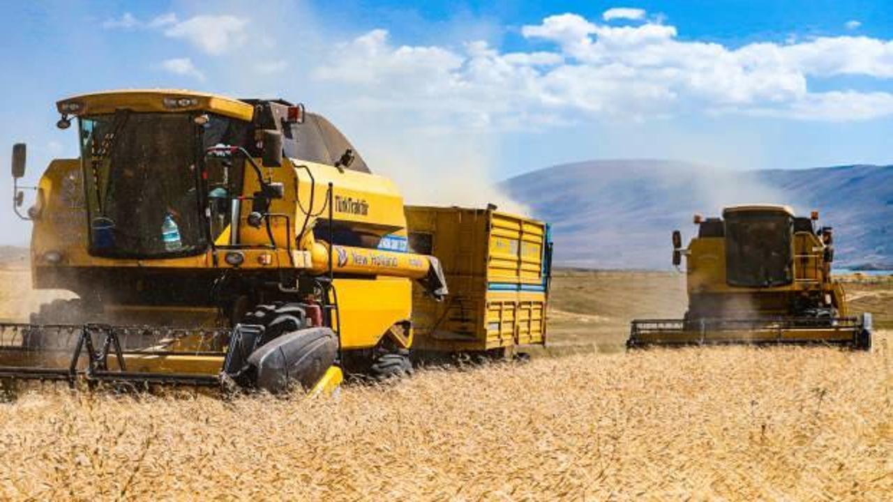 10 bin yıllık ata tohumu hayat buldu! Tarlasına &lsquo;siyez&rsquo; eken &ccedil;ift&ccedil;i hasada başladı