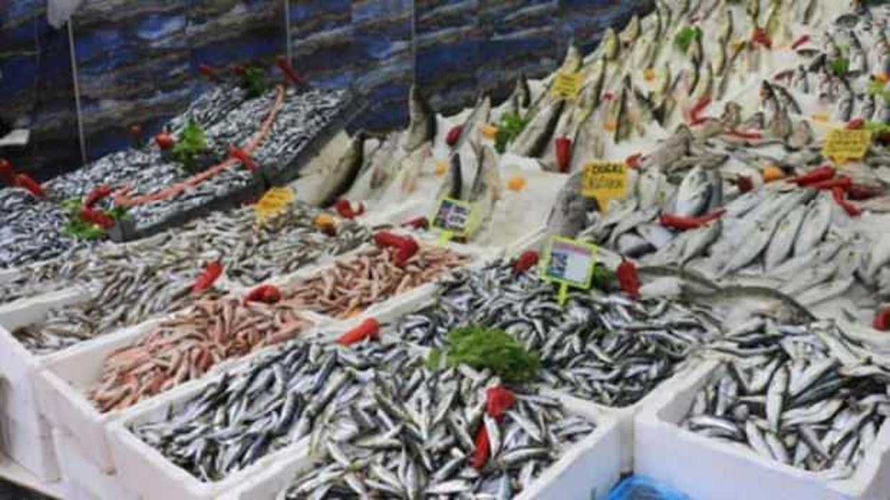 Balık&ccedil;ılara indirimli tarım kredisi