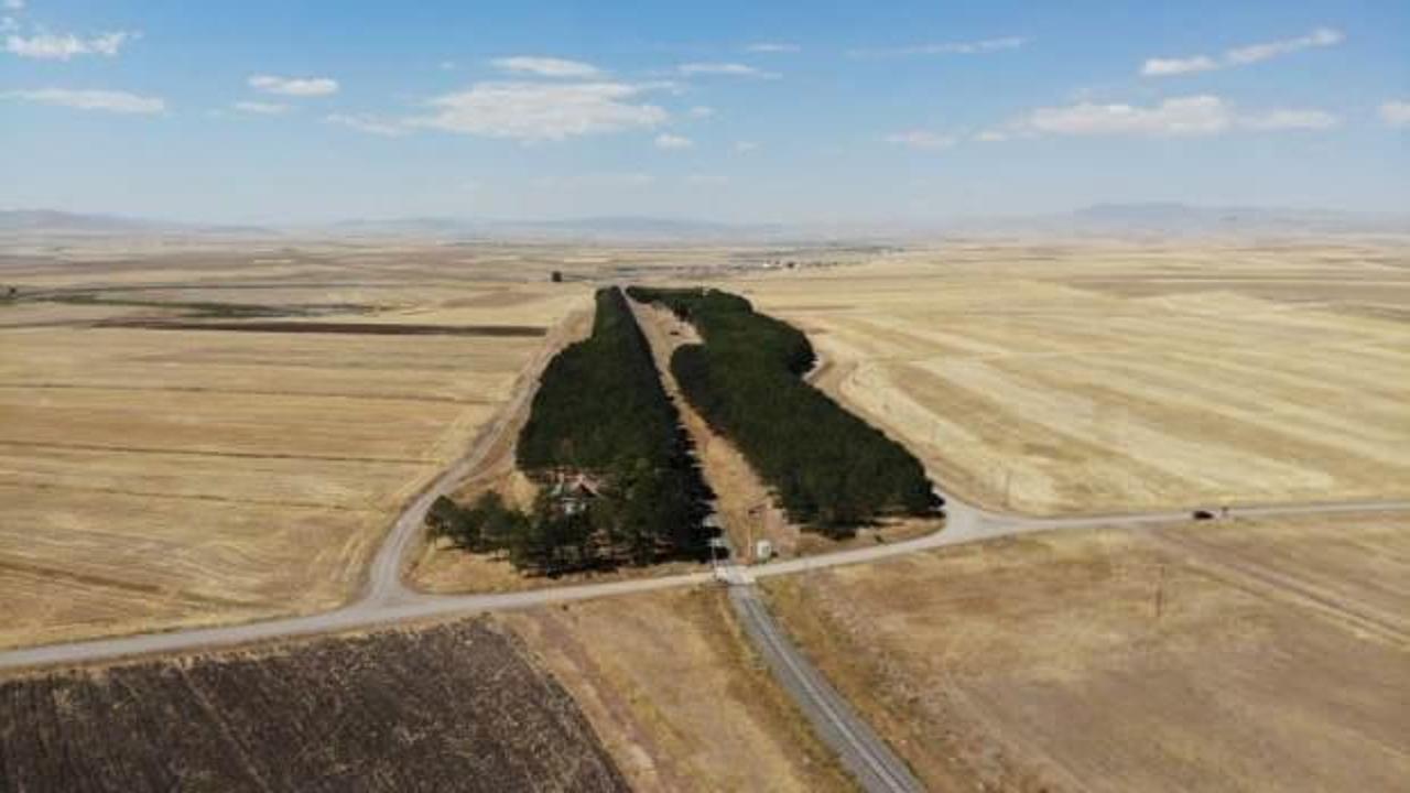 Bozkırın ortasındaki 'vaha' g&ouml;renleri hayran bırakıyor