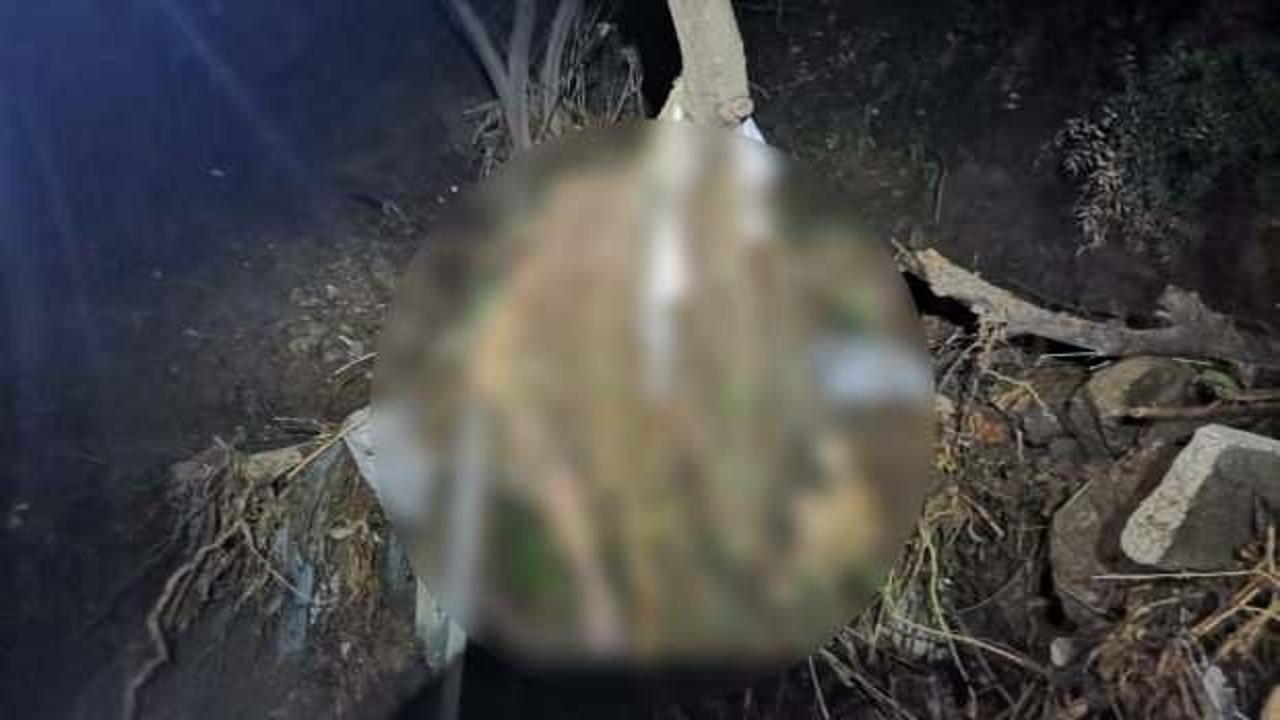 Bursa&rsquo;daki sel felaketinde kaybolmuştu: Cesedi 2 g&uuml;n sonra dere yatağından &ccedil;ıktı