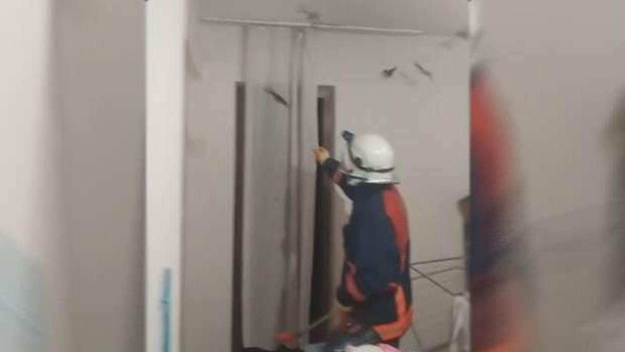 Camlarını a&ccedil;ık bırakınca evini yarasalar istila etti