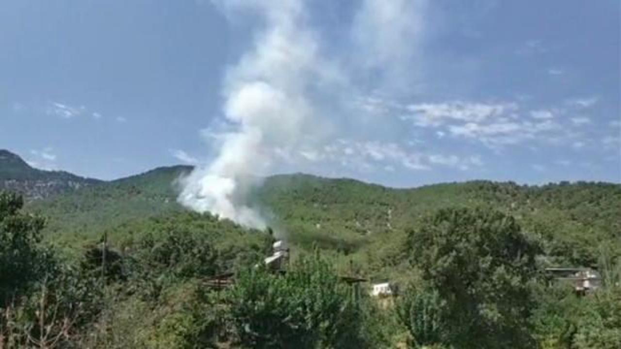 Hatay'da orman yangını: Havadan müdahale başladı