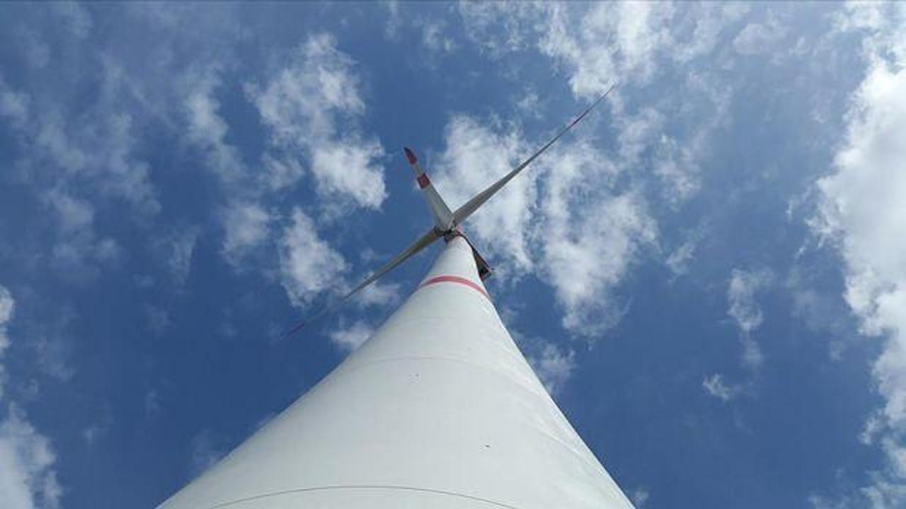 Deniz üstüne kurulan dünyanın en büyük rüzgar santrali hizmet vermeye başladı