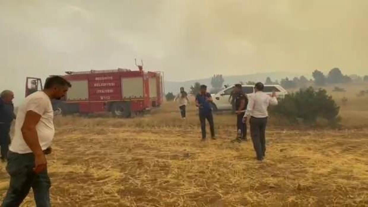 Son Dakika: Erzincan’da orman yangını