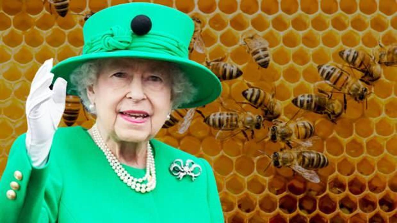 Kraliçe 2. Elizabeth'in ölümü, arılara da söylendi