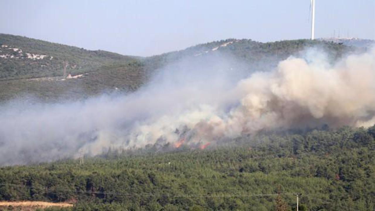 Manisa'da orman yangını kontrol altına alındı! 
