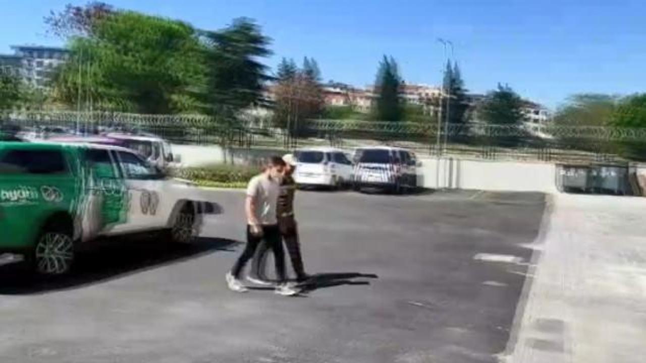 Sokak kedisini &ouml;ld&uuml;ren pitbullun sahibine 14 bin 982 TL ceza