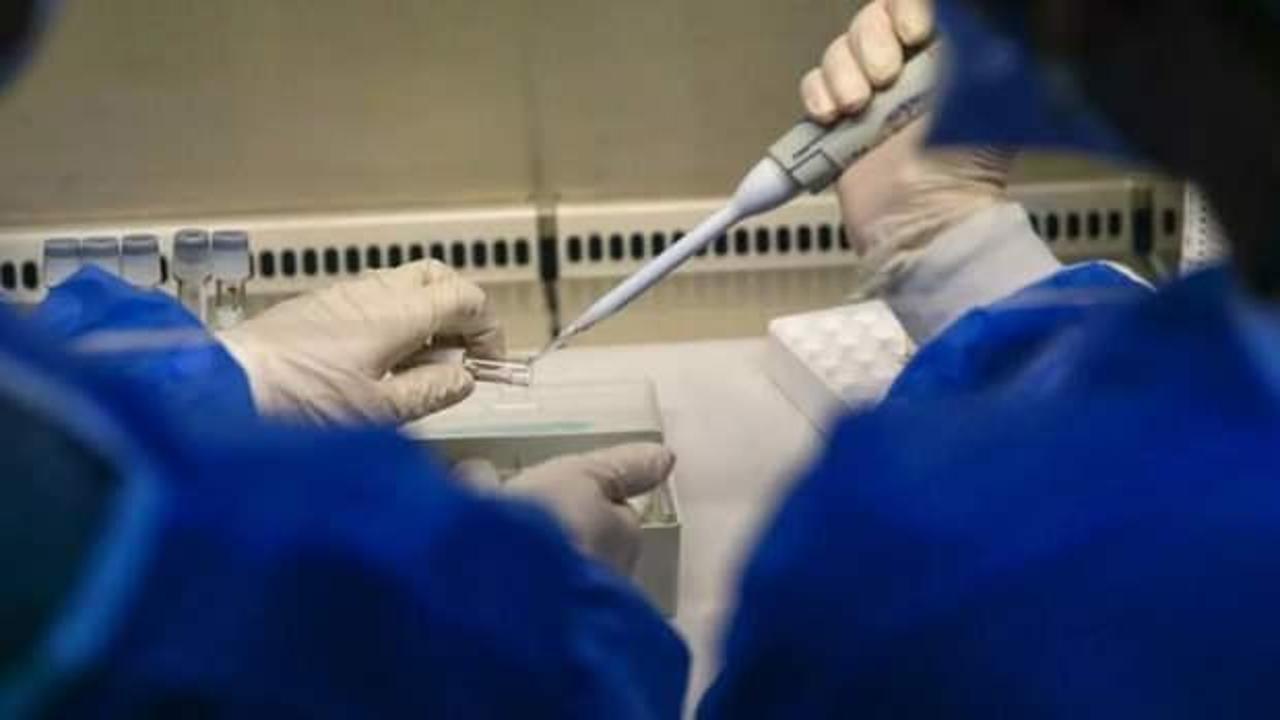 T&uuml;rk profes&ouml;r uyardı: Bu kış &ccedil;ok zor ge&ccedil;ecek!