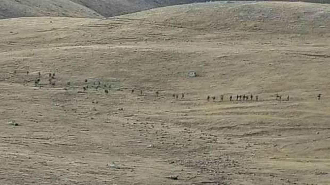 Azerbaycan: Ölen 100 Ermeni askerlerini teslim etmeye hazırız