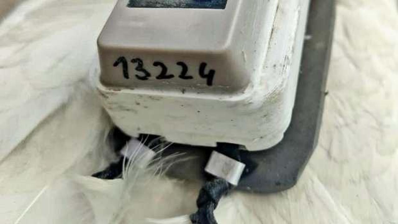 Polonya'da takip cihazı takıldı, Aksaray'da bulundu