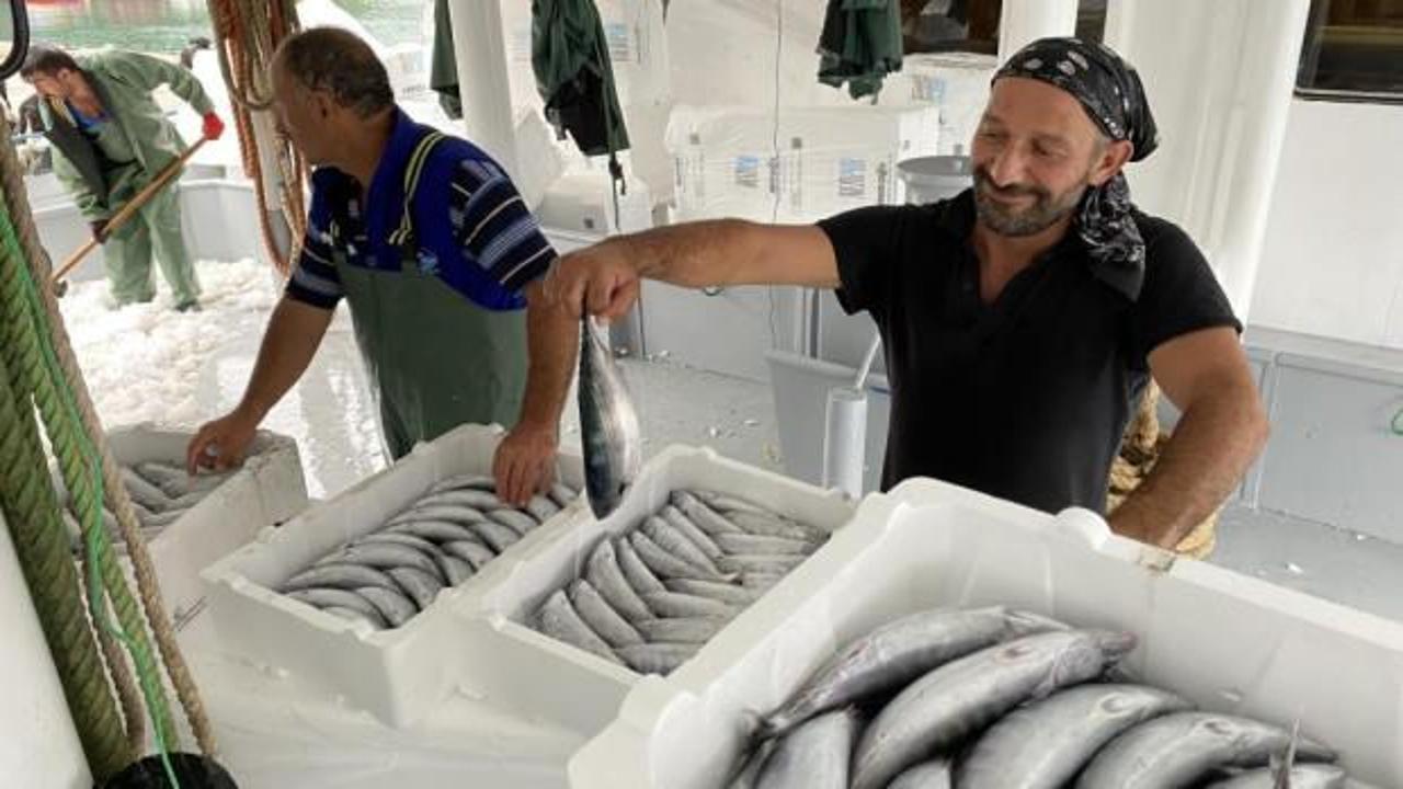 Karadenizli balıkçılar binlerce kasa palamutla döndü
