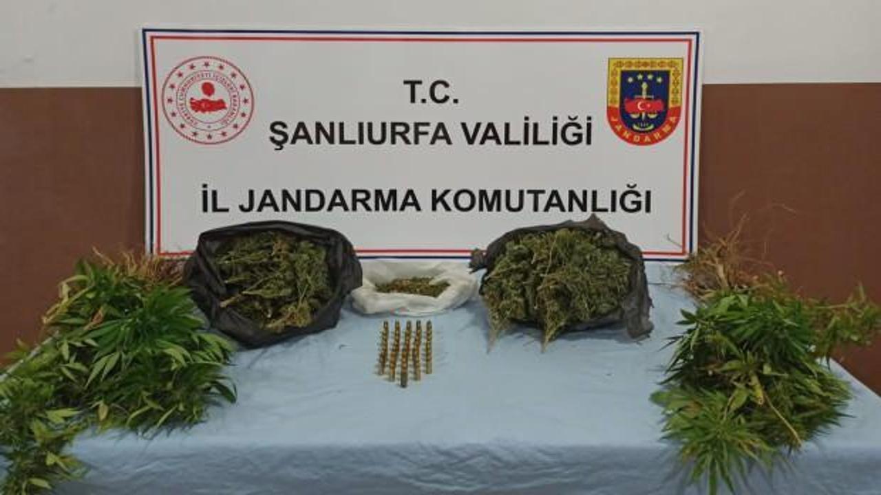 Şanlıurfa'da uyuşturucu operasyonu: 5 şüpheli gözaltına alındı