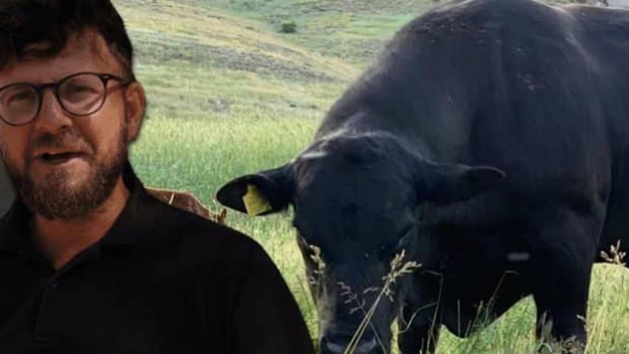 45 bin liralık angus cinsi danası &ccedil;alınan besici yetkililerden yardım bekliyor