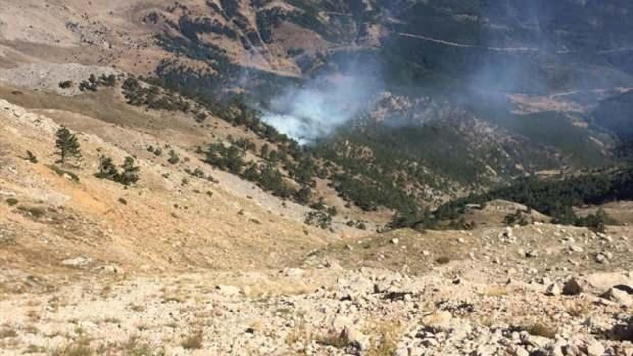 Adana’da orman yangını! Ekipler havadan ve karadan müdahale ediyor