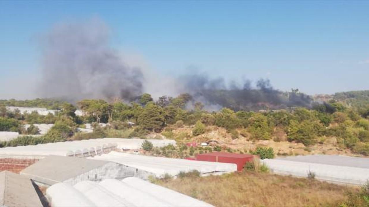 Antalya’nın Kumluca ilçesinde orman yangını çıktı!